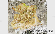 Satellite 3D Map of Kangmar, semi-desaturated