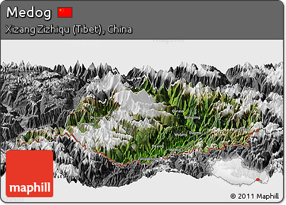Satellite Panoramic Map of Medog, desaturated