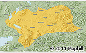 Savanna Style 3D Map of Nagqu