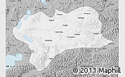 Gray Map of Nagqu