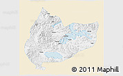 Classic Style 3D Map of Nagrze, single color outside
