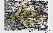 Satellite Panoramic Map of Nang Xian, desaturated