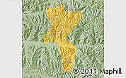 Savanna Style Map of Nedong