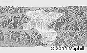 Gray Panoramic Map of Nedong