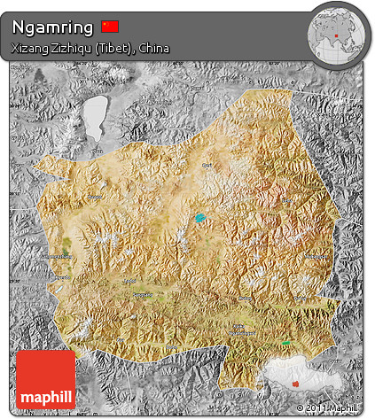 Satellite Map of Ngamring, desaturated