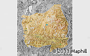 Satellite Map of Ngamring, desaturated