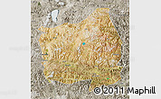 Satellite Map of Ngamring, semi-desaturated