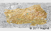 Satellite Panoramic Map of Ngamring, lighten, desaturated