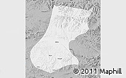 Gray Map of Nyainrong