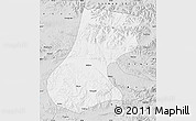 Silver Style Map of Nyainrong