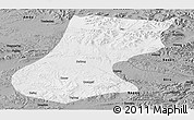 Physical Panoramic Map of Nyainrong, darken, semi-desaturated