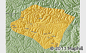 Savanna Style Map of Nyingchi