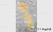 Satellite 3D Map of Raingoin, desaturated