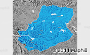 Political 3D Map of Rutog, desaturated