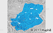 Political 3D Map of Rutog, lighten, desaturated