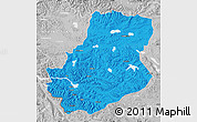 Political Map of Rutog, lighten, desaturated
