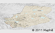 Shaded Relief Panoramic Map of Rutog, lighten, desaturated