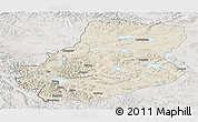Shaded Relief Panoramic Map of Rutog, lighten, semi-desaturated