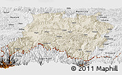 Shaded Relief Panoramic Map of Tingri, physical outside