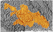 Political 3D Map of Zayu, desaturated