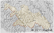 Shaded Relief 3D Map of Zayu, desaturated