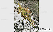 Satellite 3D Map of Zogang, semi-desaturated
