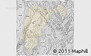 Shaded Relief 3D Map of Changning, desaturated