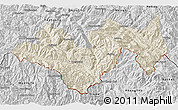 Shaded Relief 3D Map of Jinping, desaturated