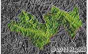 Satellite Map of Jinping, desaturated