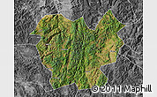 Satellite Map of Lufeng, desaturated