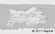 Gray Panoramic Map of Maguan, single color outside