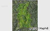 Satellite 3D Map of Mengla, semi-desaturated