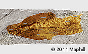 Physical Panoramic Map of Qiubei, lighten, semi-desaturated