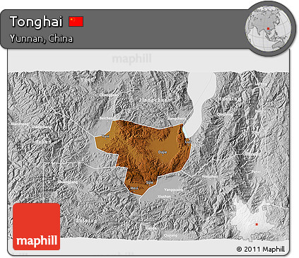 Physical 3D Map of Tonghai, lighten, desaturated