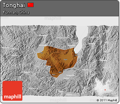Physical 3D Map of Tonghai, lighten, desaturated