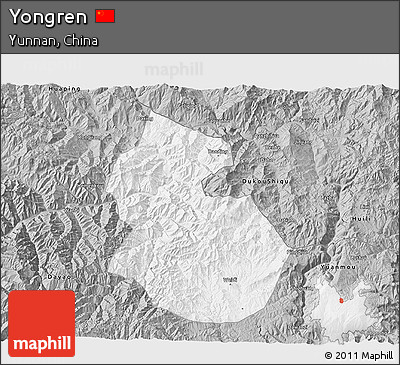 Gray 3D Map of Yongren