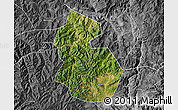 Satellite Map of Yongren, desaturated