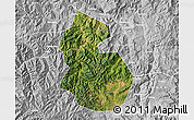 Satellite Map of Yongren, lighten, desaturated