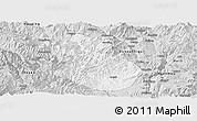 Silver Style Panoramic Map of Yongren