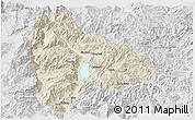 Shaded Relief Panoramic Map of Yongsheng, lighten, desaturated