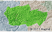 Political 3D Map of Zhenxiong, lighten, semi-desaturated