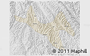 Shaded Relief 3D Map of Zhenyuan, lighten, desaturated