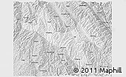 Silver Style 3D Map of Zhenyuan