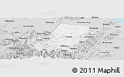 Silver Style Panoramic Map of Anji
