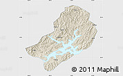 Shaded Relief Map of Chunan, single color outside