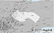 Gray 3D Map of Deqing