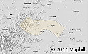 Shaded Relief 3D Map of Deqing, desaturated