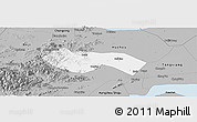 Gray Panoramic Map of Deqing