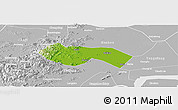 Physical Panoramic Map of Deqing, lighten, desaturated