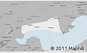 Gray 3D Map of Haining